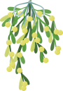 mistletoe-1091986_960_720
